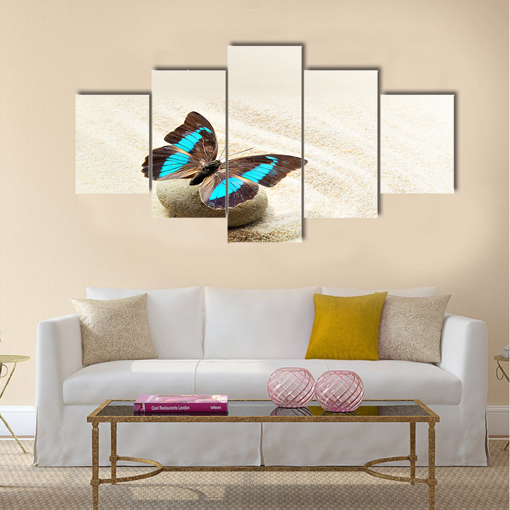 Butterfly Prepona Laerte on the sand Multi Panel Canvas Wall Art