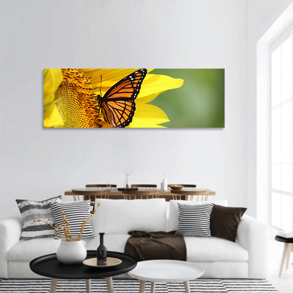 Monarch on a Sunflower panoramic canvas wall art