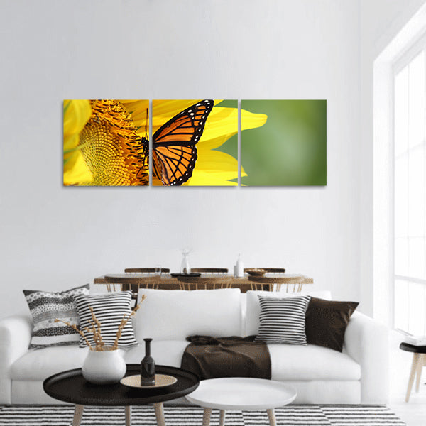 Monarch on a Sunflower panoramic canvas wall art
