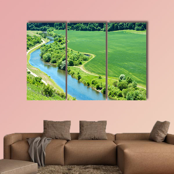 Landscape of river, green wheat field with nearby forest wall art