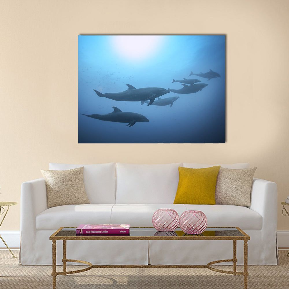 Row of beautiful dolphins swimming view under the water in the ocean multi panel canvas wall art