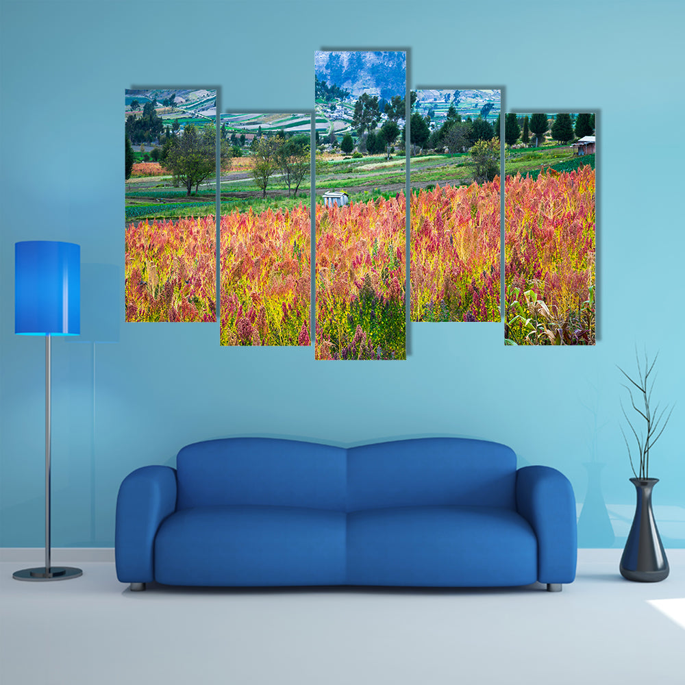 Quinoa cultivated fields, Riobamba, Chimborazo, Ecuador multi panel canvas wall art