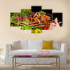 Vegetable, Food, Healthy Eating Multi panel canvas wall art