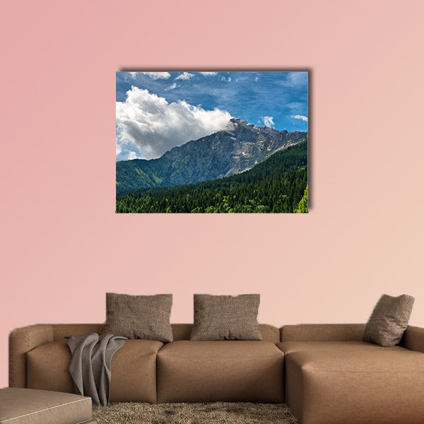 Fir covered mountain valley with rocky mountain peak in backdrop, canvas wall art
