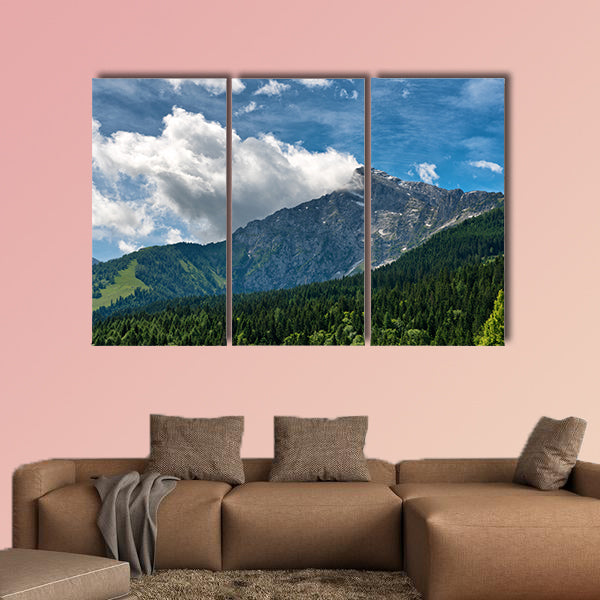 Fir covered mountain valley with rocky mountain peak in backdrop, canvas wall art