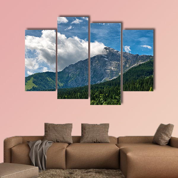 Fir covered mountain valley with rocky mountain peak in backdrop, canvas wall art