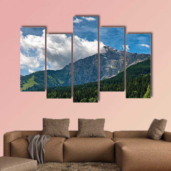 Fir covered mountain valley with rocky mountain peak in backdrop, canvas wall art