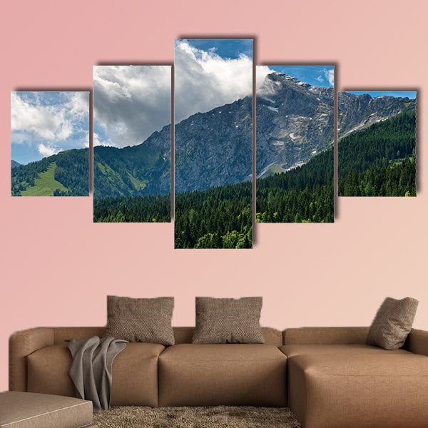 Fir covered mountain valley with rocky mountain peak in backdrop, canvas wall art