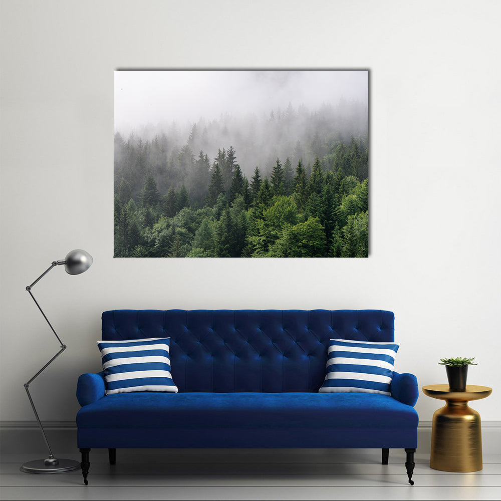 Over Lush Wilderness, Tall Trees In An Evergreen Forest, Multi Panel Canvas Wall Art