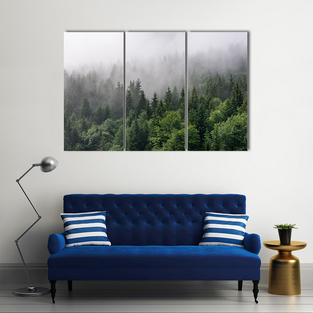 Over Lush Wilderness, Tall Trees In An Evergreen Forest, Multi Panel Canvas Wall Art