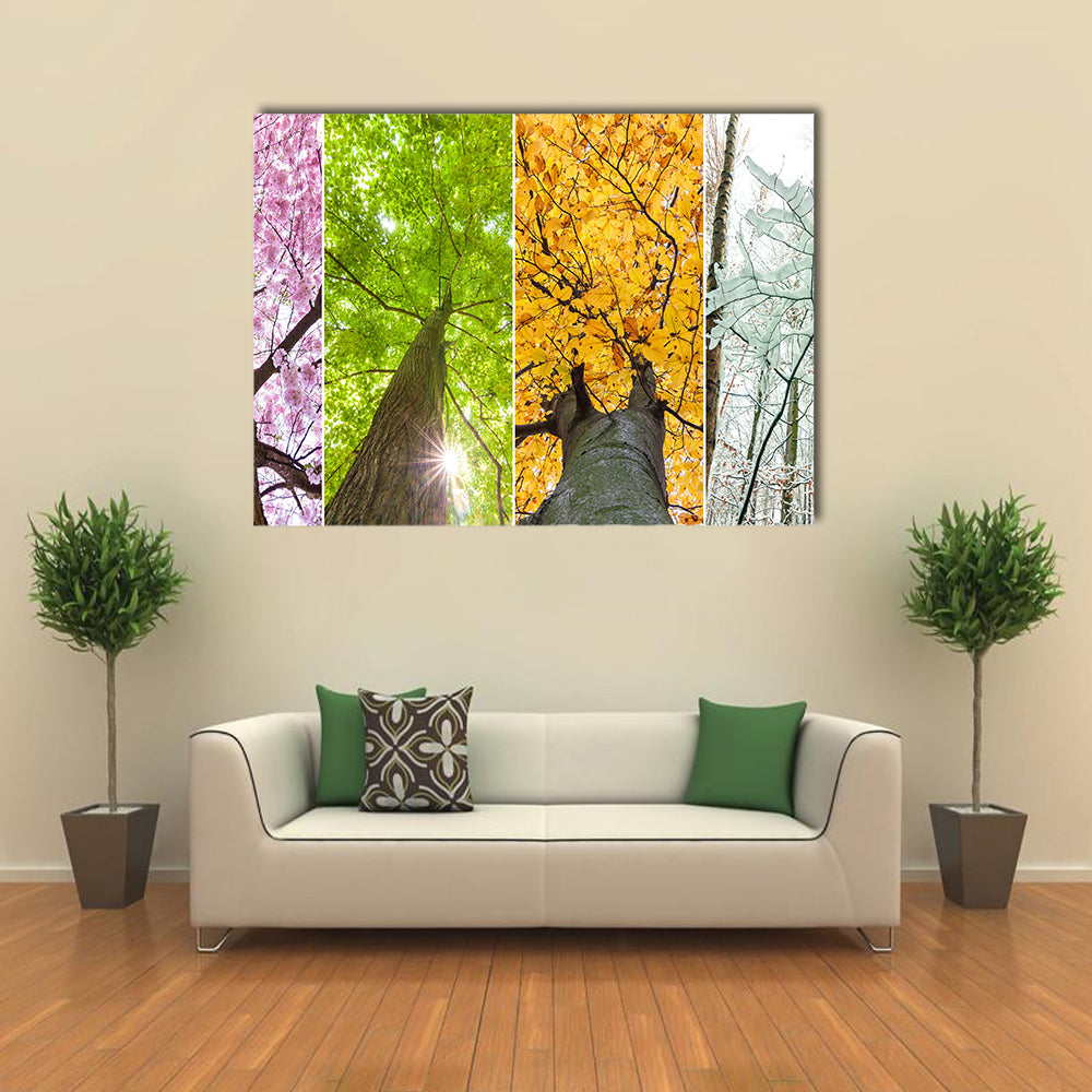 The Treetops Indicating The Four Seasons Of The Year, Multi Panel Canvas Wall Art