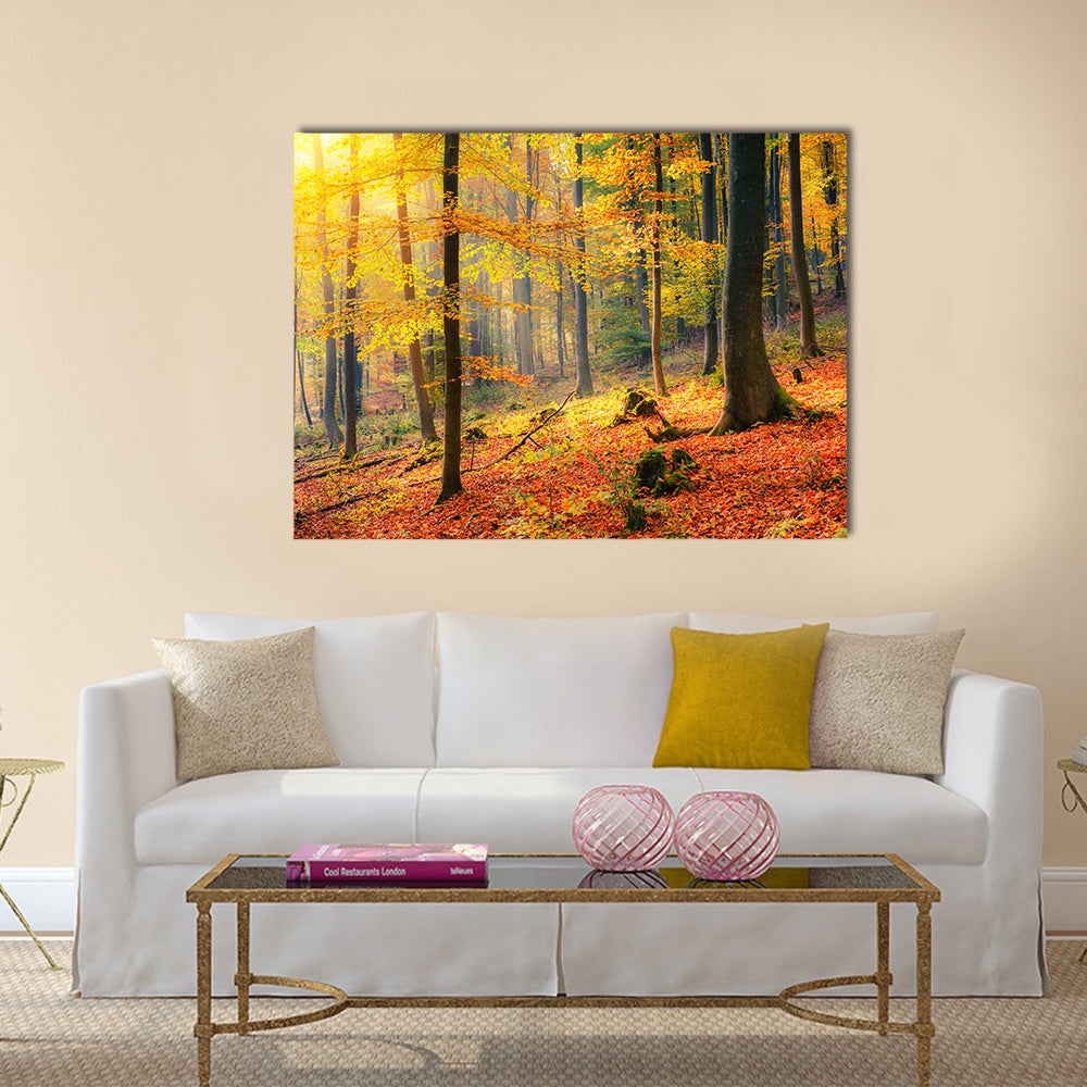 Colorful and foggy autumn forest Multi panel canvas wall art