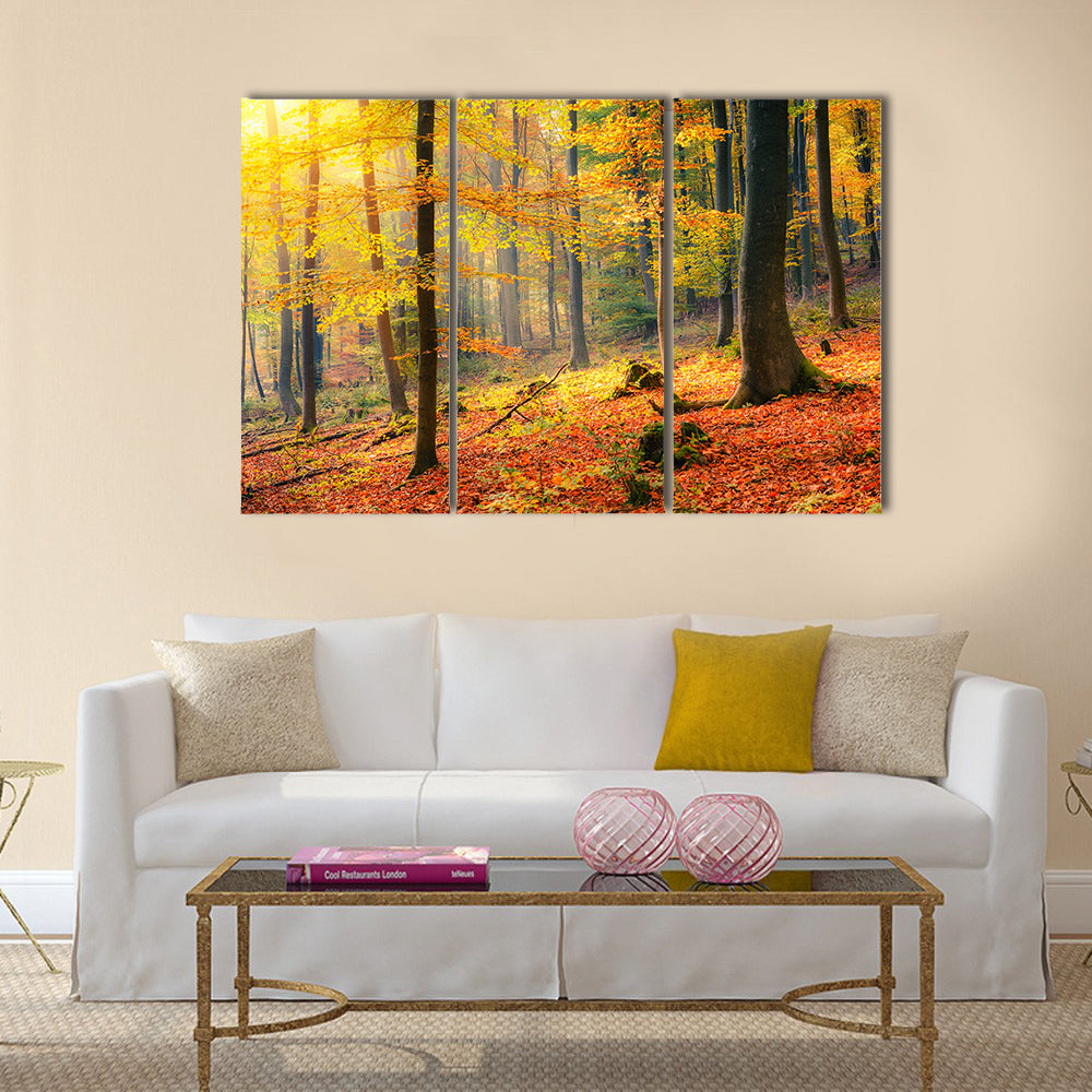 Colorful and foggy autumn forest Multi panel canvas wall art