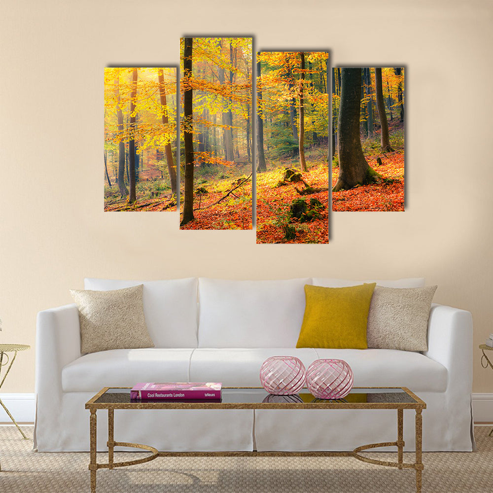 Colorful and foggy autumn forest Multi panel canvas wall art