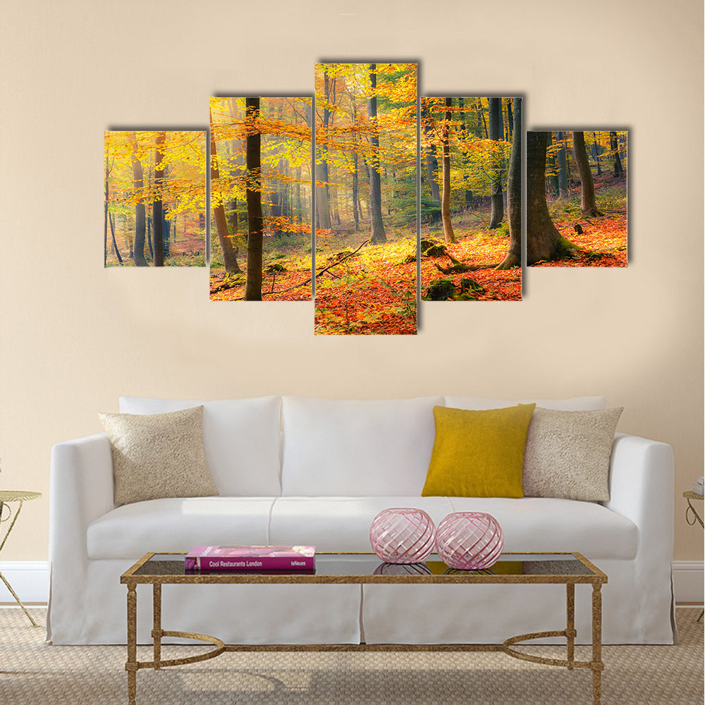 Colorful and foggy autumn forest Multi panel canvas wall art