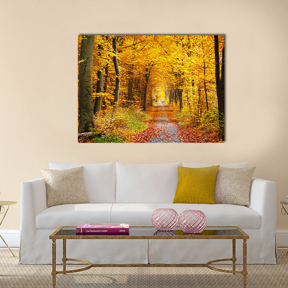 Road in the autumn forest Multi panel canvas wall art