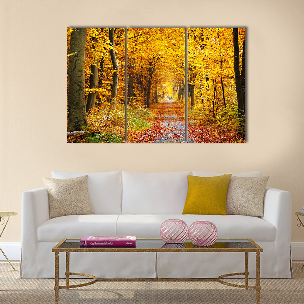 Road in the autumn forest Multi panel canvas wall art