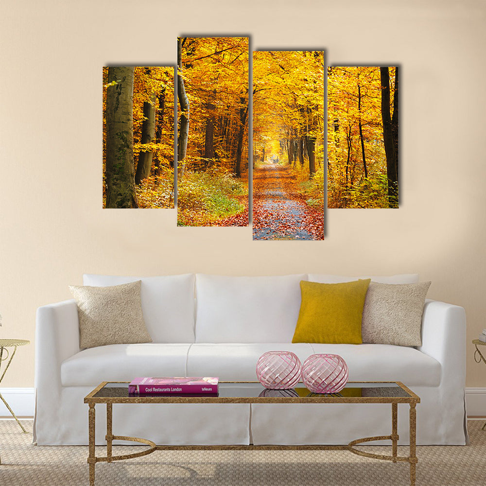 Road in the autumn forest Multi panel canvas wall art