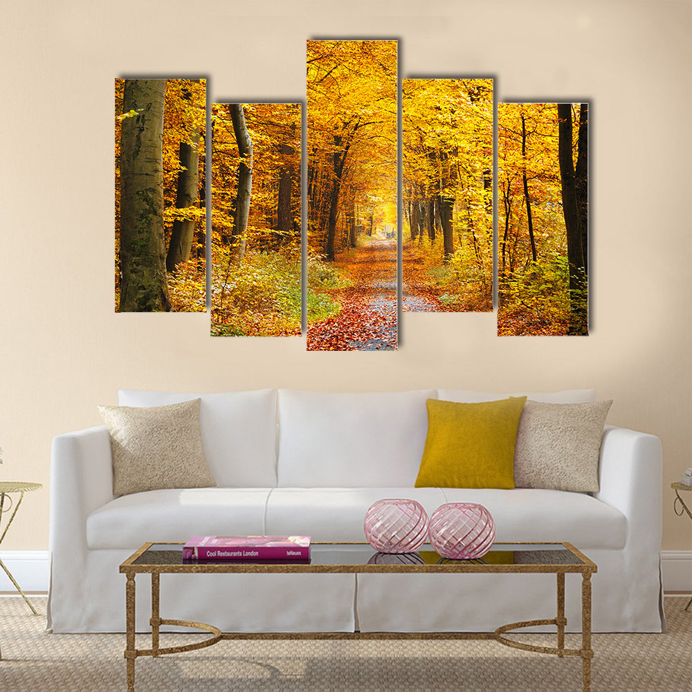 Road in the autumn forest Multi panel canvas wall art