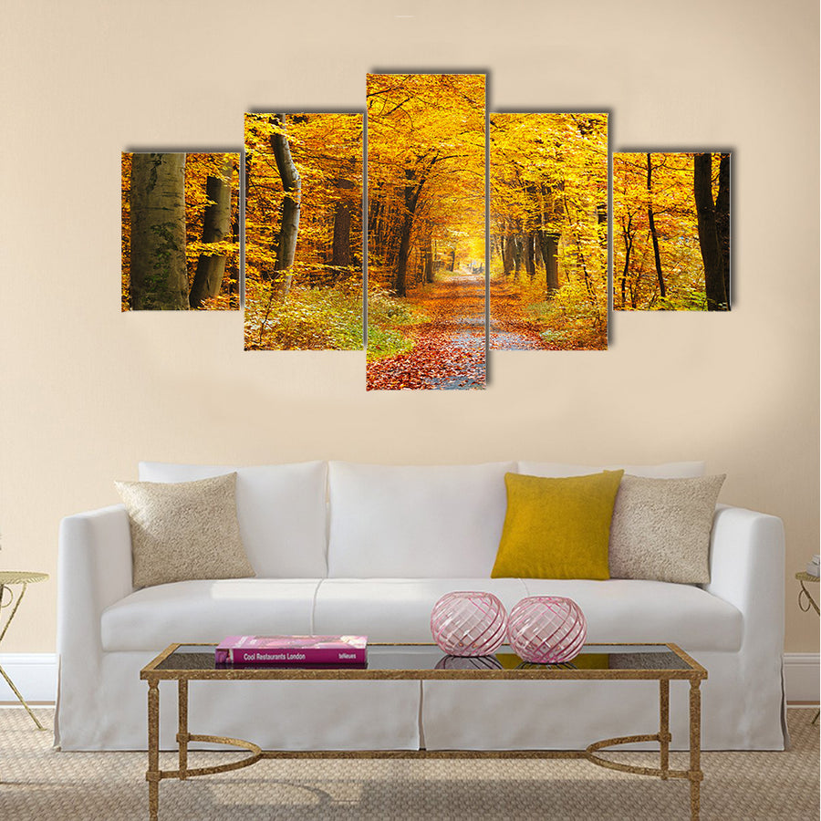 Road in the autumn forest Multi panel canvas wall art