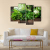 Useful green vegetables on a wooden background Multi panel canvas wall art