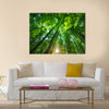 Into the forest. Nature composition. multi panel canvas wall art