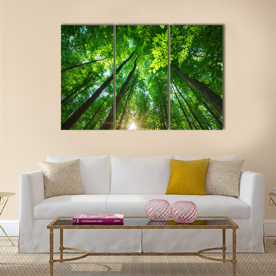 Into the forest. Nature composition. multi panel canvas wall art
