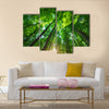 Into the forest. Nature composition. multi panel canvas wall art