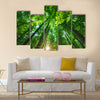 Into the forest. Nature composition. multi panel canvas wall art