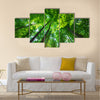 Into the forest. Nature composition. multi panel canvas wall art