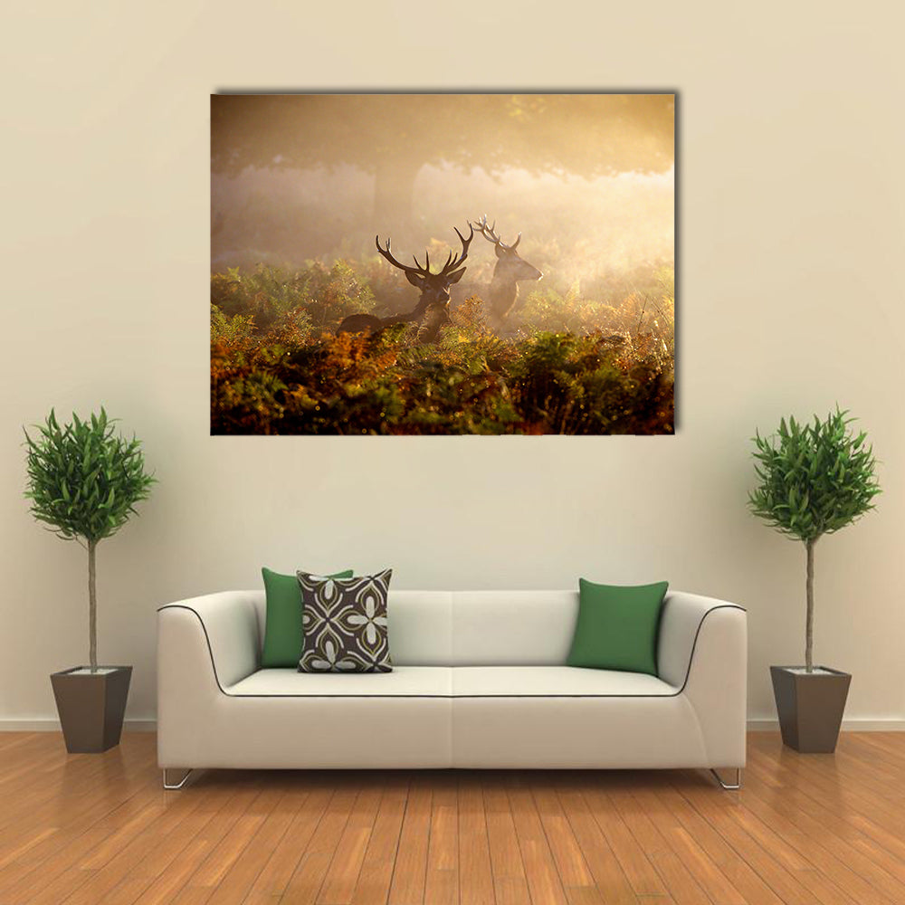 Two Red Deer Stags In The Dawn Mist Multi Panel Canvas Wall Art