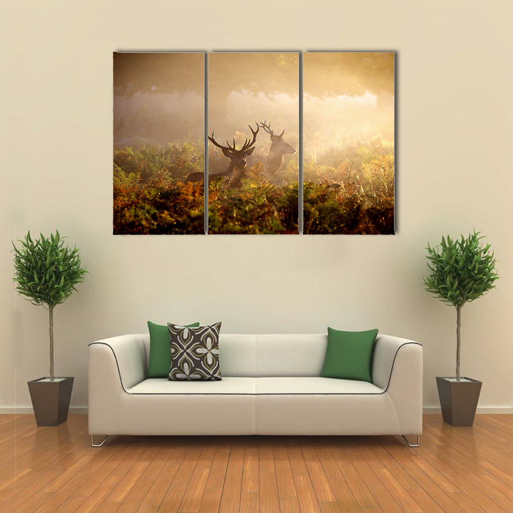Two Red Deer Stags In The Dawn Mist Multi Panel Canvas Wall Art