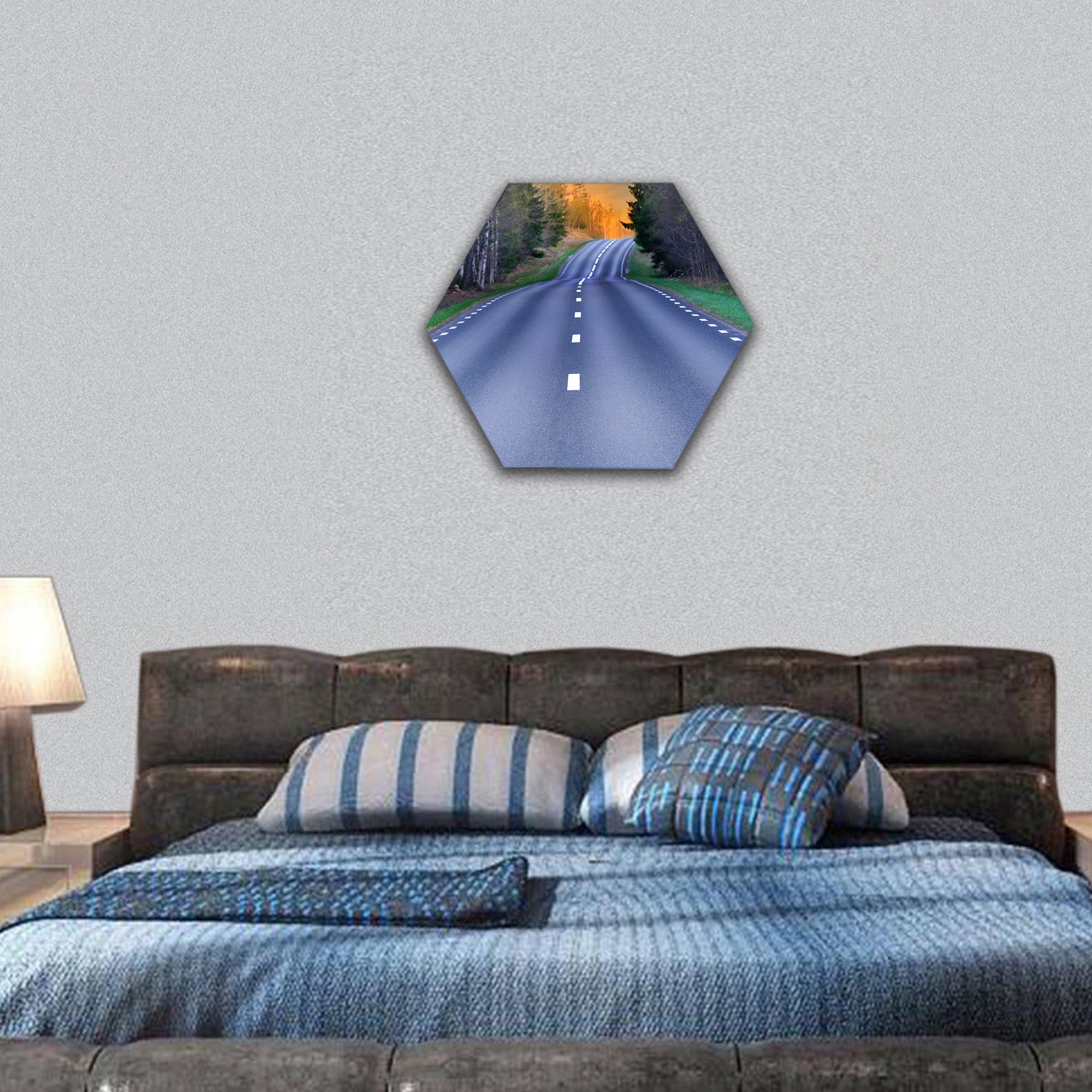 Winding rural scandinavian asphalt road hexagonal canvas wall art