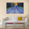 Winding rural asphalt road  Sweden multi panel canvas wall art