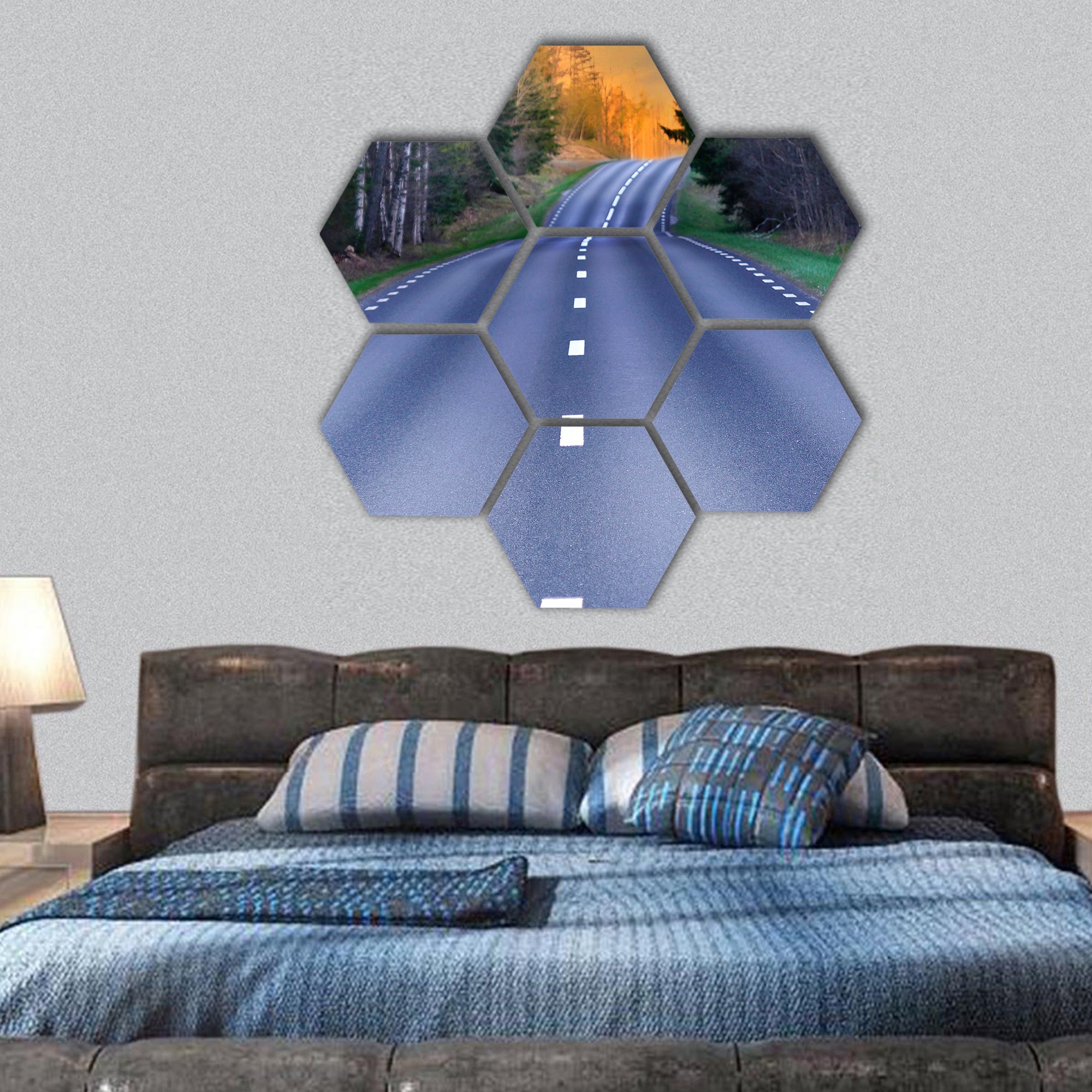 Winding rural scandinavian asphalt road hexagonal canvas wall art