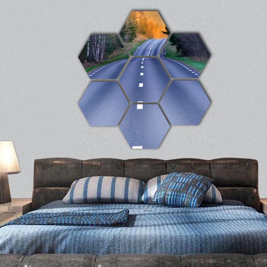 Winding rural scandinavian asphalt road hexagonal canvas wall art