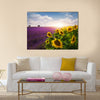 Lavender and sunflowers fields , Provence Multi Panel Canvas Wall Art