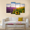 Lavender and sunflowers fields , Provence Multi Panel Canvas Wall Art