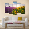 Lavender and sunflowers fields , Provence Multi Panel Canvas Wall Art