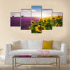 Lavender and sunflowers fields , Provence Multi Panel Canvas Wall Art