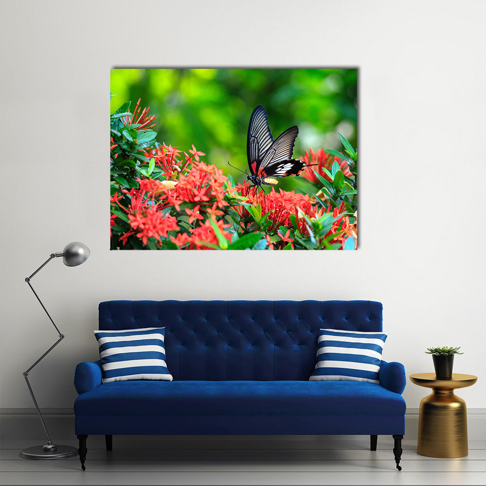 A Great Red Butterfly On A Mormon Ixora Flower, Multi Panel Canvas Wall Art