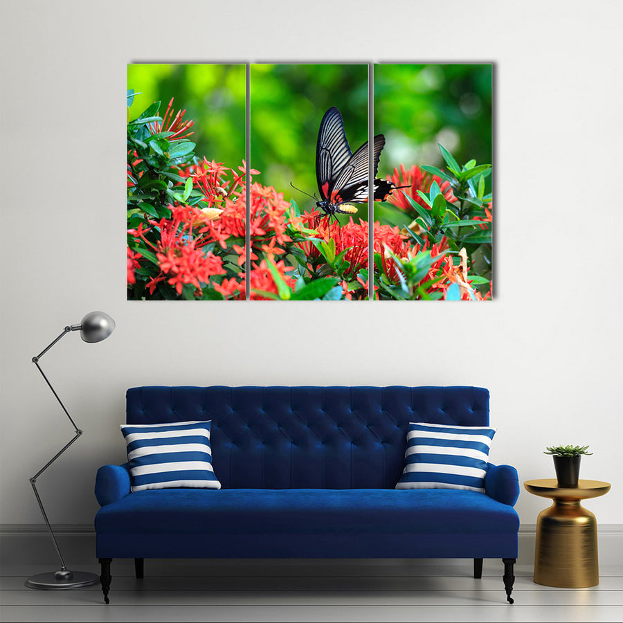 A Great Red Butterfly On A Mormon Ixora Flower, Multi Panel Canvas Wall Art