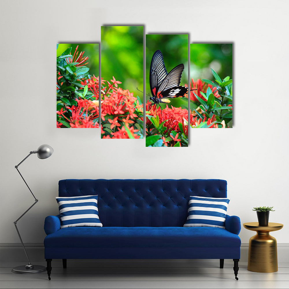 A Great Red Butterfly On A Mormon Ixora Flower, Multi Panel Canvas Wall Art
