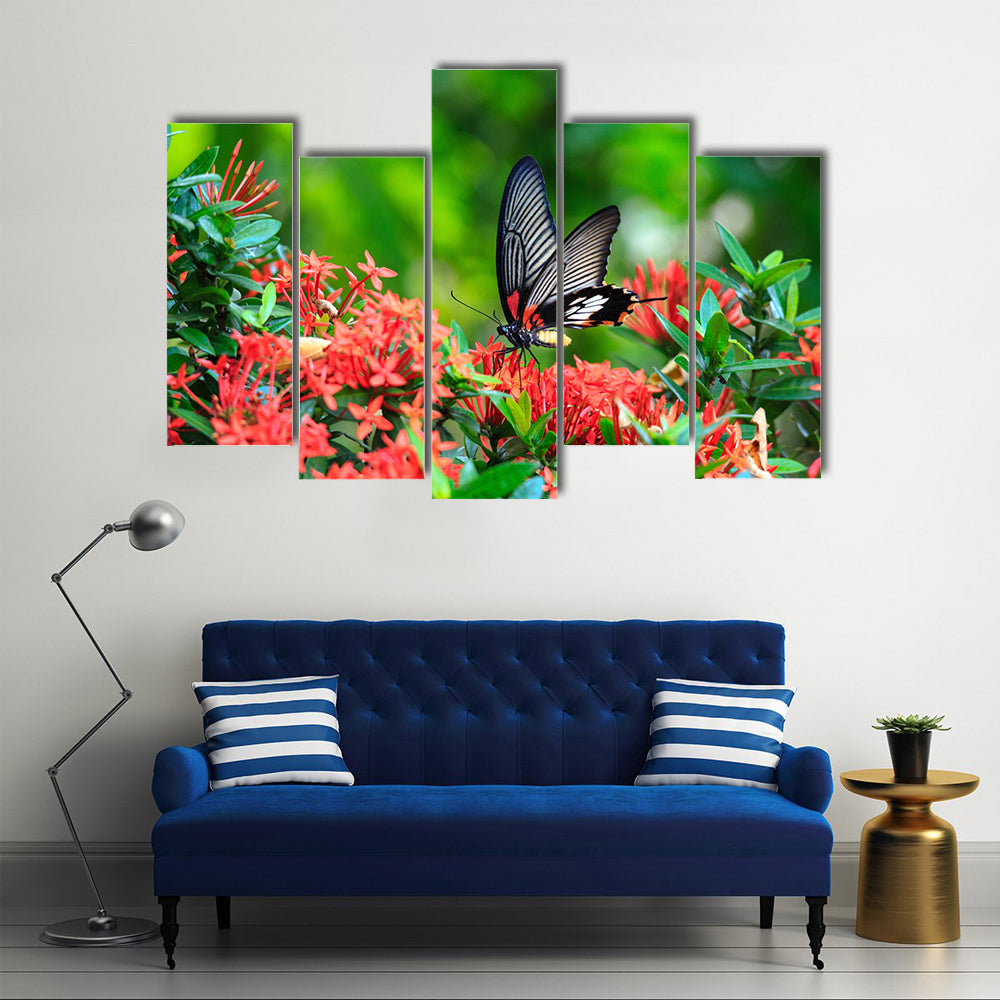 A Great Red Butterfly On A Mormon Ixora Flower, Multi Panel Canvas Wall Art