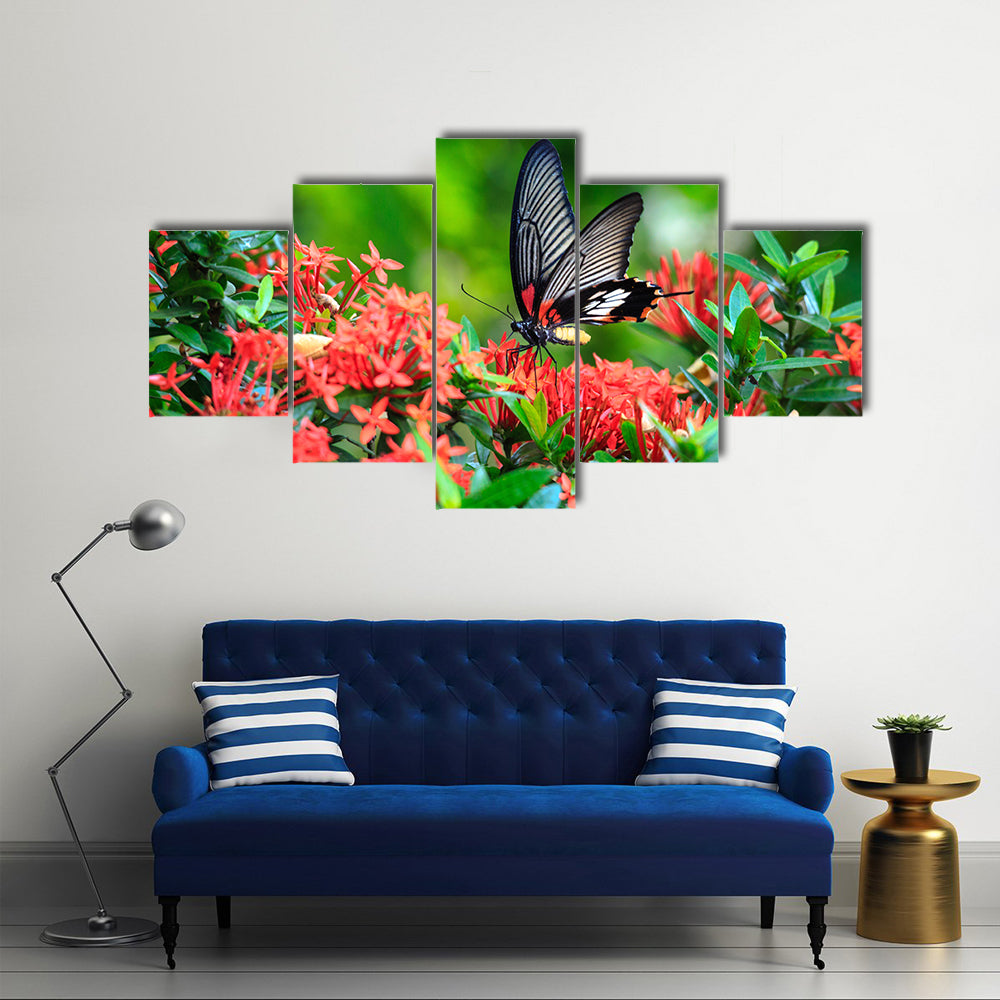 A Great Red Butterfly On A Mormon Ixora Flower, Multi Panel Canvas Wall Art