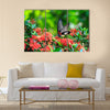 Close up of mail related to perching on red butterfly Multi Panel Canvas Wall Art