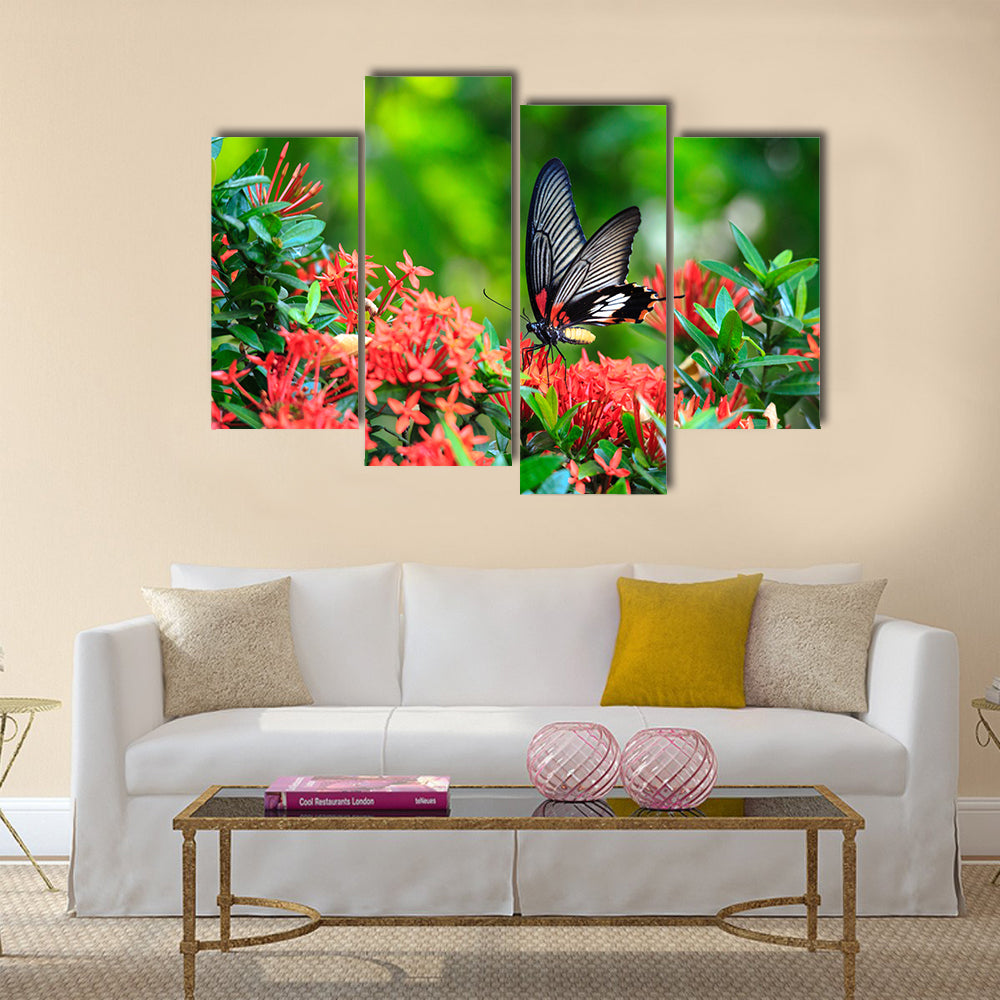 Close up of mail related to perching on red butterfly Multi Panel Canvas Wall Art