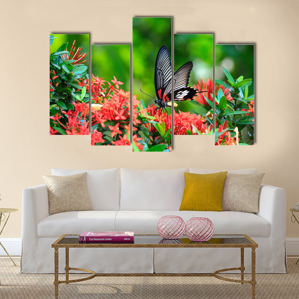 Close up of mail related to perching on red butterfly Multi Panel Canvas Wall Art