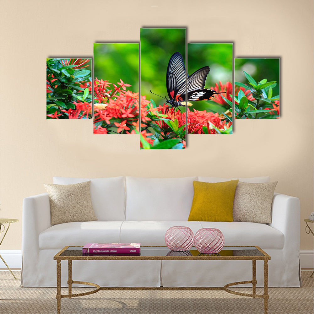 Close up of mail related to perching on red butterfly Multi Panel Canvas Wall Art
