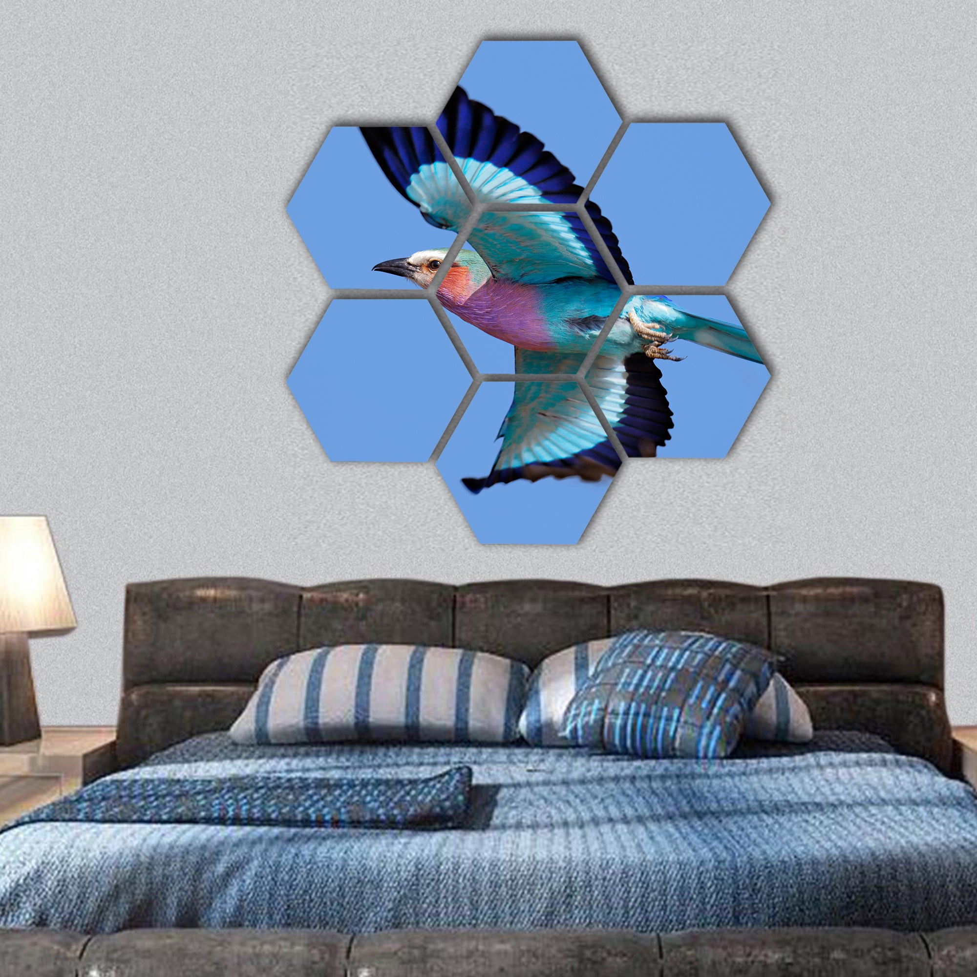 Lilac-breasted Roller taking flight against clear blue sky hexagonal canvas wall art
